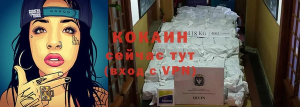винт Лиски