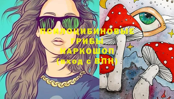 винт Лиски