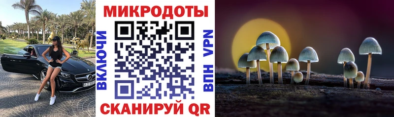 Купить  Ядрин  Галлюциногенные грибы Psilocybe 